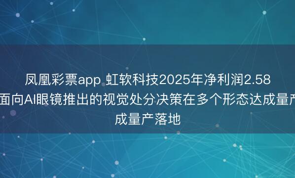 凤凰彩票app 虹软科技2025年净利润2.58亿元 面向AI眼镜推出的视觉处分决策在多个形态达成量产落地