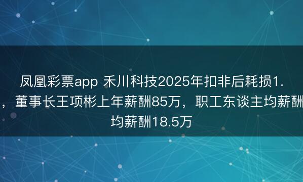 凤凰彩票app 禾川科技2025年扣非后耗损1.63亿元，董事长王项彬上年薪酬85万，职工东谈主均薪酬18.5万