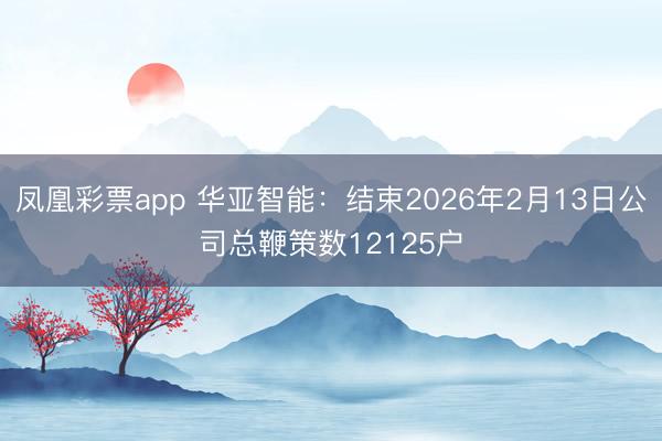 凤凰彩票app 华亚智能：结束2026年2月13日公司总鞭策数12125户