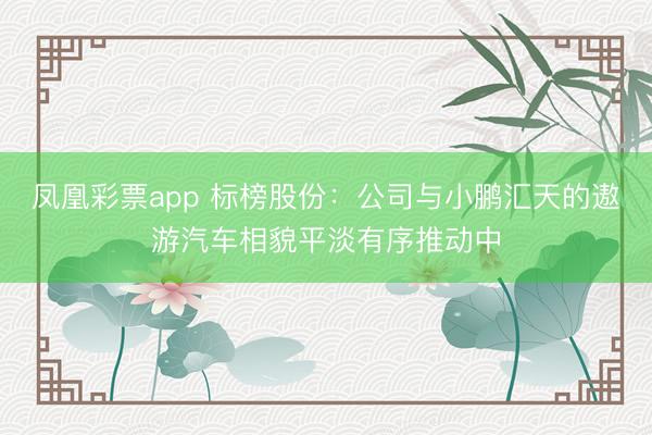 凤凰彩票app 标榜股份：公司与小鹏汇天的遨游汽车相貌平淡有序推动中