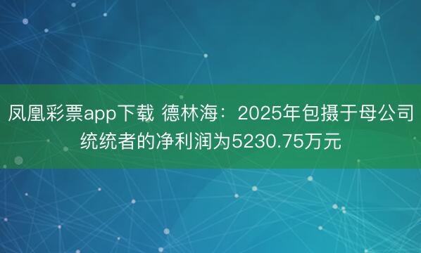凤凰彩票app下载 德林海：2025年包摄于母公司统统者的净利润为5230.75万元