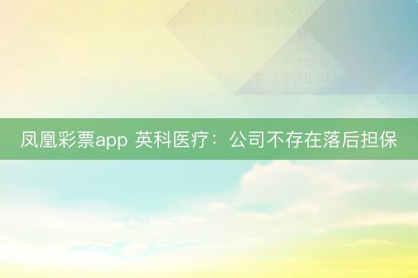 凤凰彩票app 英科医疗：公司不存在落后担保
