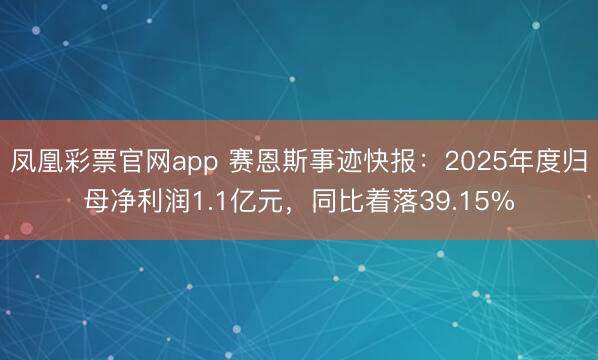 凤凰彩票官网app 赛恩斯事迹快报：2025年度归母净利润1.1亿元，同比着落39.15%