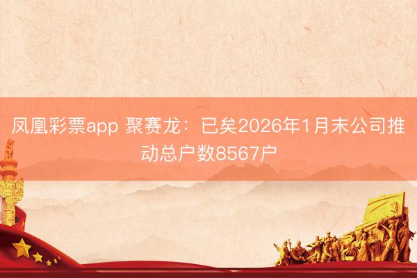 凤凰彩票app 聚赛龙：已矣2026年1月末公司推动总户数8567户