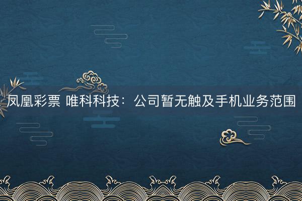 凤凰彩票 唯科科技：公司暂无触及手机业务范围