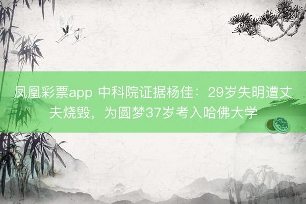 凤凰彩票app 中科院证据杨佳:29岁失明遭丈夫烧毁,为圆梦37岁考入哈佛大学